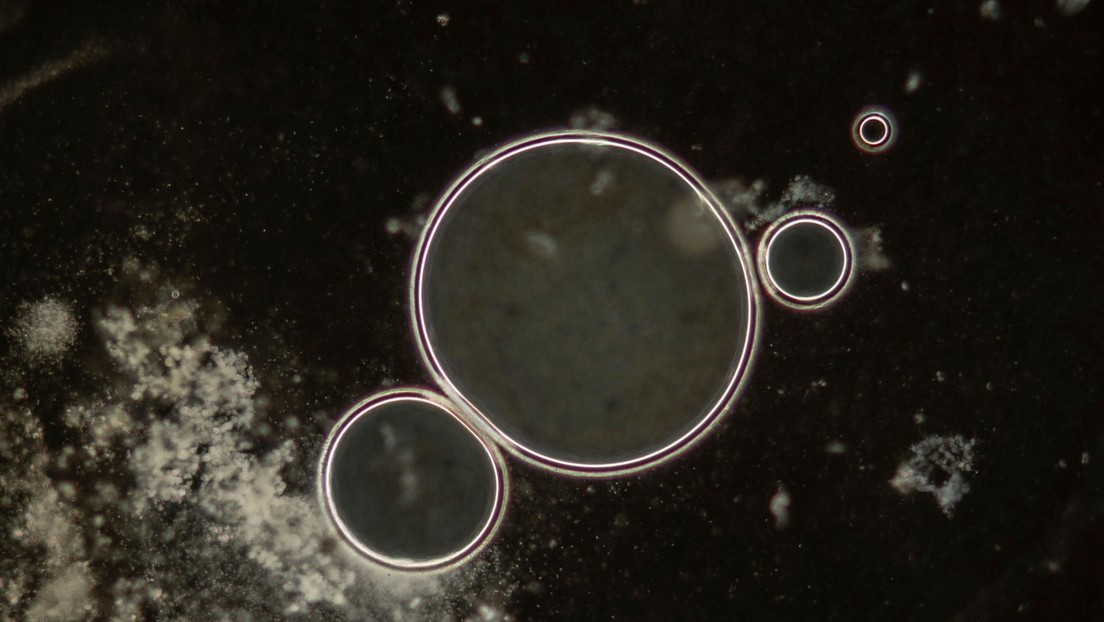 Una IA crea virus que no existen en la naturaleza