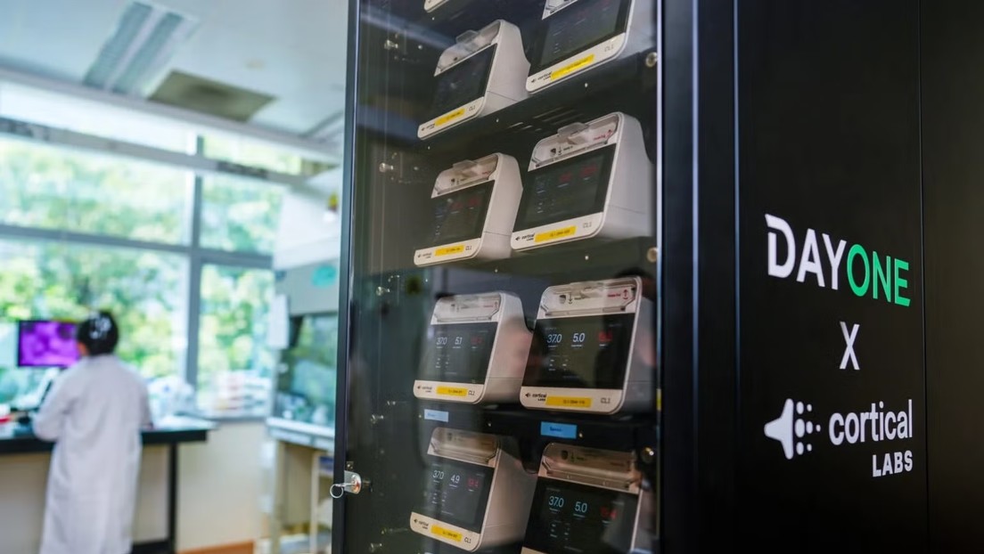 Singapur desarrolla centro de datos impulsado por neuronas humanas