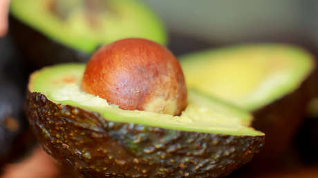 EE.UU. pone un freno las exportaciones de aguacate desde México por esta razón