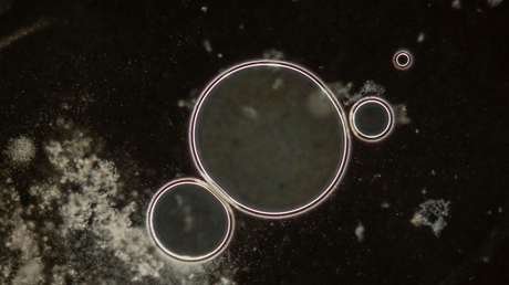 Una IA crea virus que no existen en la naturaleza