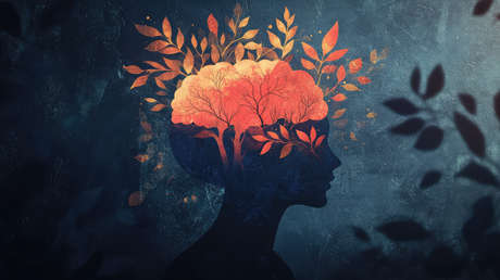 Imagen ilustrativa