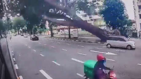 Pesadilla en plena vía: un enorme árbol aplasta un coche en movimiento (VIDEO)