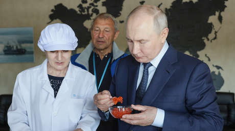 Putin degusta caviar en las islas Kuriles (VIDEO)
