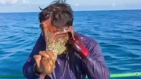 VIDEO: Un pulpo se aferra al rostro de un pescador