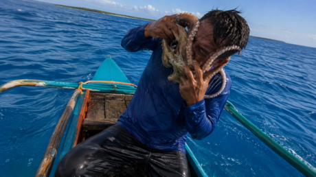 VIDEO: Un pulpo se aferra al rostro de un pescador