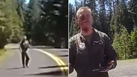 "Estoy un poco aturdido": Piloto sale a pie tras estrellarse su avión de combate en EE.UU. (VIDEO)