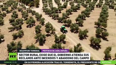 Sector rural en España exige que el Gobierno atienda sus reclamos ante incendios y abandono del campo