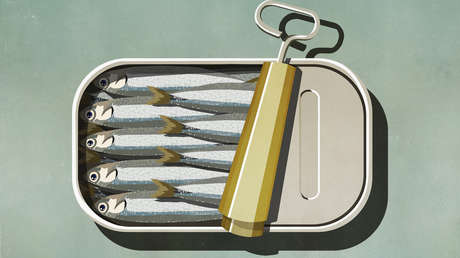 Imagen ilustrativa