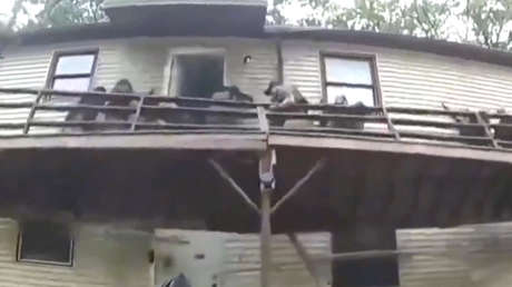 Terraza se desploma en pleno operativo y deja a un equipo SWAT bajo los escombros (VIDEO FUERTE)