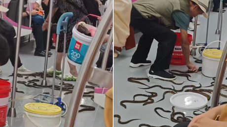 VIDEO: Invasión de 'serpientes' desata una escena insólita en el metro