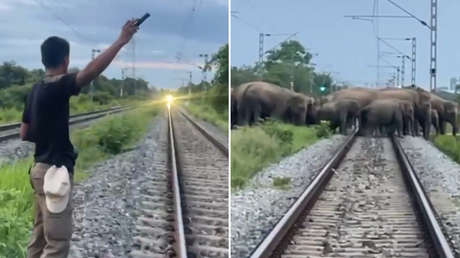 VIDEO: La inesperada parada del tren se convierte en el gesto más humano del día