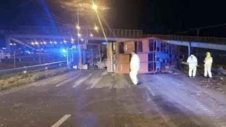 Choque, vacas y caos: el insólito accidente ocurrido en Argentina (VIDEO)