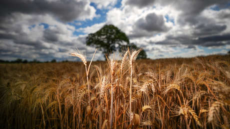 País de la OTAN está al borde de una crisis alimentaria (y así la agrava la guerra con Irán)