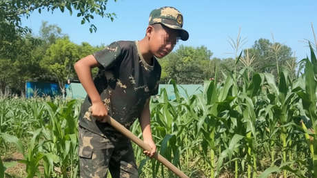 Adiós al móvil, hola al cerdo: padres chinos envían a sus hijos a vivir como campesinos por 1.500 dólares