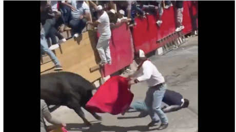 FUERTE VIDEO: Un toro embiste brutalmente a un hombre durante una tradicional fiesta en México