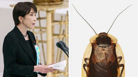 "Un poco sola, casi triste": La primera ministra de Japón relata cómo perdió a su 'amiga' cucaracha
