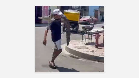 Hombre con cocodrilo al hombro camina como si nada por las calles de Ecuador (VIDEO)