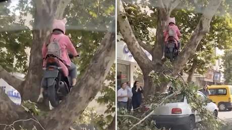 Imposible de explicar: una motociclista acaba sobre un árbol (VIDEO)