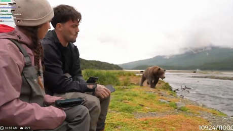 "Pensé que todo había terminado": 'streamers' tienen un inesperado encuentro en Alaska (VIDEO)