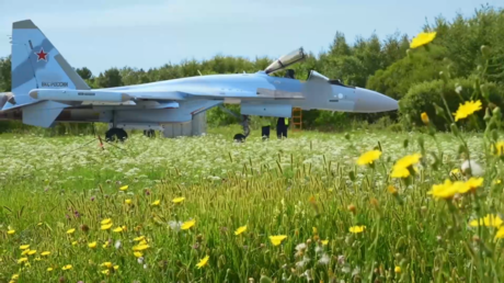 "Funciona a la perfección": Fuerza Aérea rusa recibe un lote de cazas Su-35S (VIDEO)