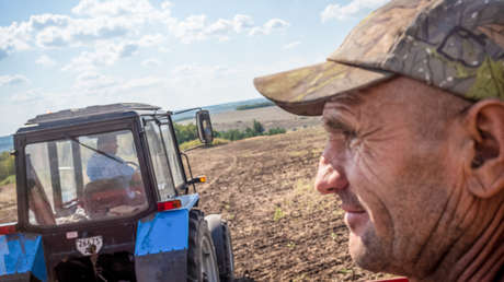 Armas sí, agricultores no: Moscú afirma que Occidente solo necesita "matanzas"
