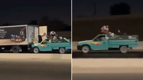 A lo Hollywood: asaltan un camión en plena marcha para robar 100 kilos de pollo (VIDEO)