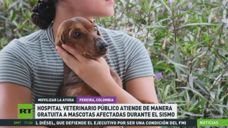 Hospital veterenario en Colombia atiende de manera gratuita a mascotas afectadas durante el sismo