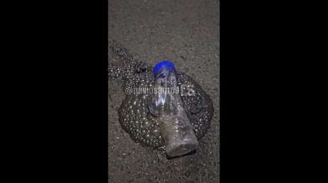 VIDEO: Migrantes lanzan una botella con sustancias químicas a manifestantes locales en Ceuta