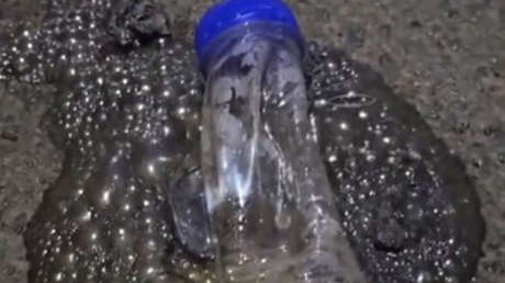 VIDEO: Migrantes lanzan una botella con sustancias químicas a manifestantes locales en Ceuta
