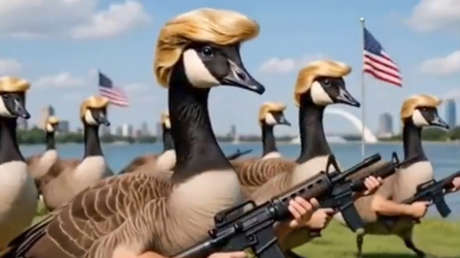 VIDEO: Así son los 'Donald Duck' armados de Trump que protegerán el lago América