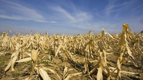 WSJ: El Niño amenaza con causar pérdidas económicas de billones de dólares
