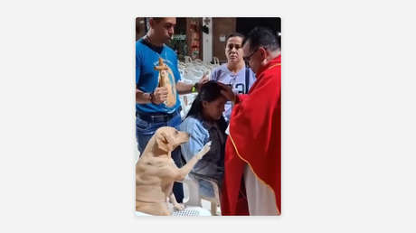 VIDEO: Un perrito 'le pide la bendición' a un sacerdote en Colombia