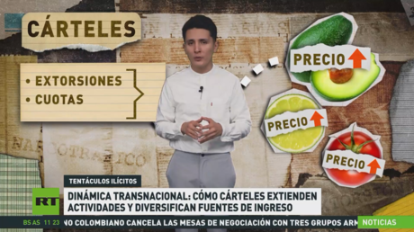 Dinámica transnacional: cómo cárteles extienden actividades y diversifican fuentes de ingreso