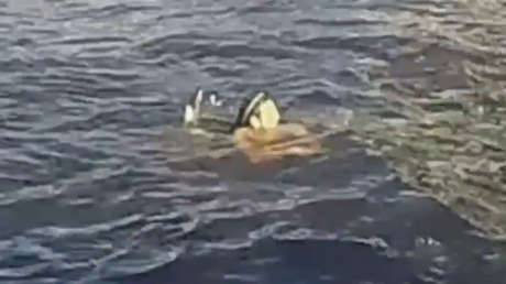 Una boda de película: heroína vestida de blanco se lanza al agua para rescatar a un hombre (VIDEO)