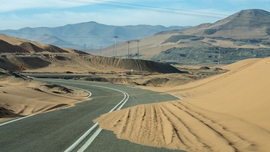 Florece uno de los desiertos más áridos del planeta (VIDEOS)