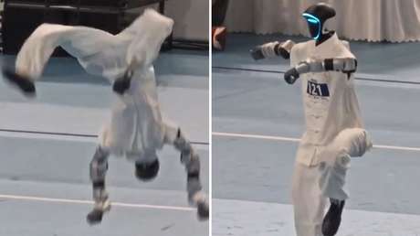 Robot humanoide demuestra sus impresionantes habilidades en artes marciales (VIDEO)