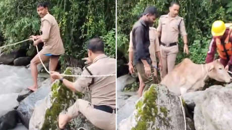 Con una sola cuerda, la Policía salva una vida en plena corriente (VIDEO)