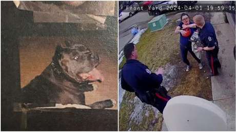 Dueña de perros que mataron a un niño esquiva la cárcel por su infancia traumática