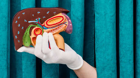 Imagen ilustrativa