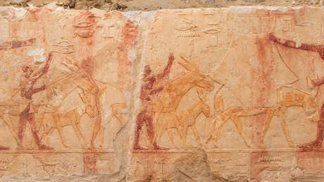 Descubren tumba "curiosa y preciosa" de la época faraónica en Egipto