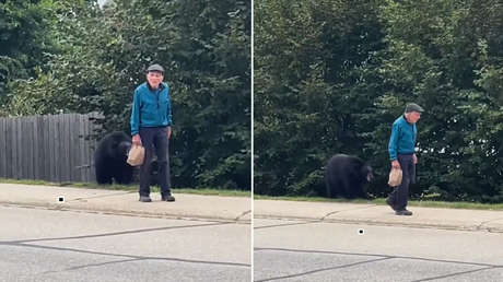 "Justo detrás de ti": la reacción de un anciano ante un oso a sus espaldas no tiene precio (VIDEO)