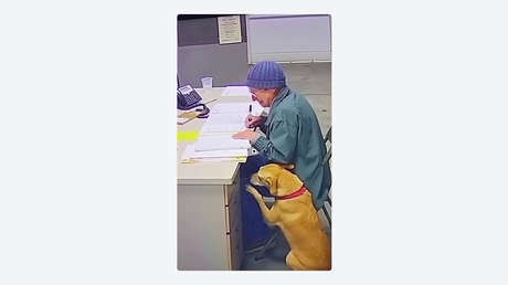 Despedida desgarradora: mujer debe entregar a su perro a un refugio por su salud (VIDEO)
