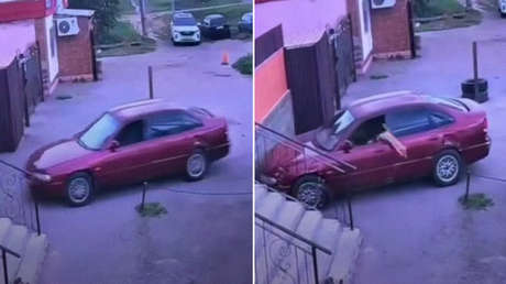 Un gato quiso probar 'suerte al volante' y terminó chocando contra una pared (VIDEO)
