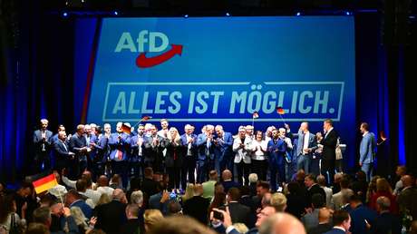 ¿Por qué la AfD y su líder irritan tanto a Bruselas?