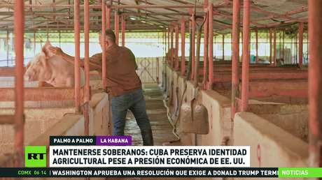 Mantenerse soberanos: Cuba preserva identidad agrícola pese a la presión económica de EE.UU.