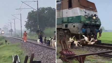 Un tren masacra a un rebaño entero de cabras y por poco arrolla a sus dueños (VIDEO)