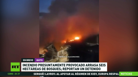 Incendio presuntamente provocado arrasa 6 hectáreas de bosque en Quito