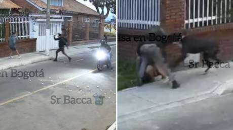 VIDEO: Valiente perro salva a su dueño de un asalto callejero