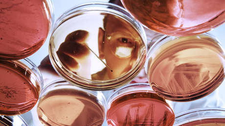 Cómo China aspira convertirse en potencia de la biomedicina