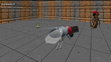 Una mosca anda suelta jugando a 'DOOM' y te gana al 'blackjack': ¿cómo ocurre esta locura? (VIDEOS)